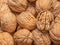 Walnuts with and without shells top view.  Walnut Background close up