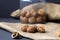 Walnuts. walnuts in shells on a black table and in a glass jar