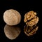 Walnuts, whole and peeled on a dark mirror background.