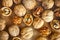 Walnuts on wooden background