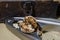 Walnuts on a wooden kitchen table. Nuts and a black wooden crate