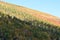 Walporzheim, Germany - 11 06 2020: autumn vineyards in a side valley away from the Ahr