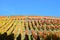 Walporzheim, Germany - 11 06 2020: beautiful autumn vineyards in yellow and orange