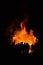 Walpurgis Night bonfire