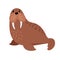 Walrus cartoon animal