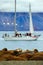 Walrus colony, Odobenus rosmarus, stick out from blue water on pebble beach, blurred boat, yacht, with mountain in background, Sva