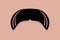 Walrus Moustache Icon Vector