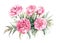 Walter Faxon Peony. Bouqet of vivid pink peonies with double flowers. Watercolor illustration.