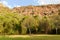 Walter Sisulu National Botanical Garden