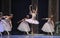 Waltz of the flowers-Tableau 3-The Ballet Nutcracker