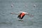 Walvis Bay, Namibia