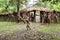 Wamena, Indonesia - January 9, 2010: Men of the Dani tribe in a traditional dress standing near straw gate in Dugum Dani Village