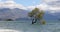 Wanaka New Zealand lone tree of Lake Wanaka famous tourist attraction