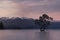 Wanaka tree on the lake during dramatic colorful sunset. New Zealand