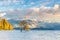 Wanaka tree in sunrise, New Zealand