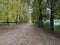 Wander through the heart of nature\\\'s autumnal splendor with this horizontal capture of a city park path.