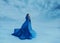 A wanderer in a blue cloak that waving in the wind. The Queen in a luxurious blue dress amidst a frozen valley covered