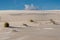 Wandering dune near Leba, Poland