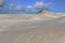 Wandering dune in Slowinski National Park. Poland