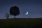 Waning moon and bright stars in crescent night