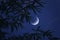 Waning moon and bright stars in crescent night