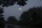 Waning moon over forest in early morning