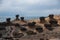 Wanli District, New Taipei City, Taiwan Yehliu Geopark strange rocky landscape