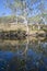 Wannon River Reflections: Nigretta Falls Area During Dry Season