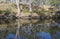 Wannon River Reflections: Nigretta Falls Area During Dry Season