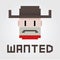 Wanted Cowboy Outlaw