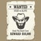 Wanted dead or alive western poster