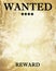 Wanted paper