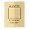 Wanted Poster Flat Icon Isolated on White