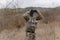 war, army, hunting. young soldier, ranger or hunter with binoculars watching the forest