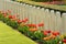 War Cemetery