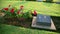 War cemetery, bridge over kwai river death railway grave