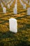 War cemetery with rows of white marble graves on green grass at sunset with ocean view. Marine veteran's cemetery