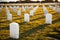 War cemetery with rows of white marble graves on green grass at sunset with ocean view. Marine veteran's cemetery