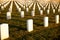 War cemetery with rows of white marble graves on green grass at sunset with ocean view. Marine veteran's cemetery