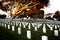 War cemetery with rows of white marble graves on green grass at sunset with ocean view. Marine veteran's cemetery