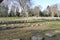 War graves from the First World War in Cologne\\\'s southern cemetery. Standardized weathered tombstones .