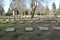 War graves from the First World War in Cologne\\\'s southern cemetery. Standardized, weathered tombstones .