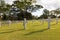 War military cemetery in Back lighting