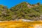 Warbrick terraces at Waimangu volcanic valley in New Zealand