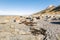 Ward Beach with sandstone boulders and seaweed, South Island, New Zealand