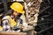 Warehouse management staff checking for deteriorated products