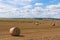 Warm August in Belarus, in the fields of cereals have already be