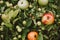 Warm autumn flatlay with branches and small apples and leaves