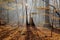 Warm autumn scenery in a forest, with the sun casting beautiful rays of light through the mist and trees