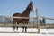 Warm Blood Bay Horse Standing In Winter Corral Rural Scene